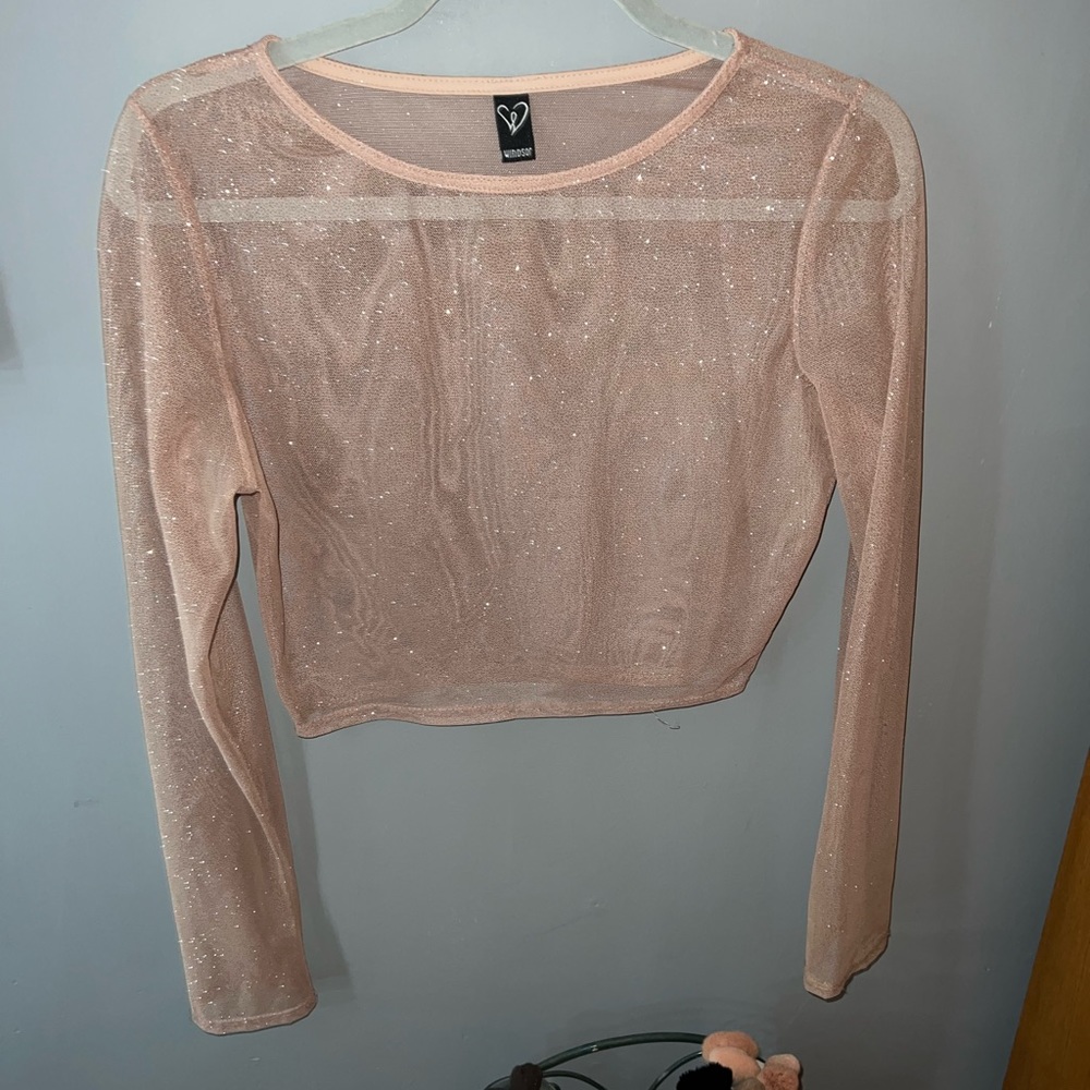 windsor mesh long sleeve crop top
